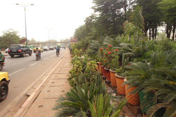 Fleuristes-paysagistes : Un job en forte croissance à Bamako