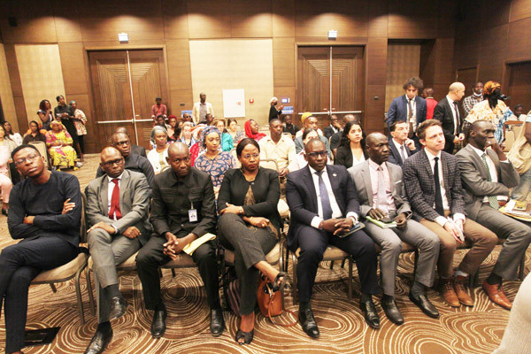 Investissement de la Diaspora malienne : Le projet Seginso 2028 lancé