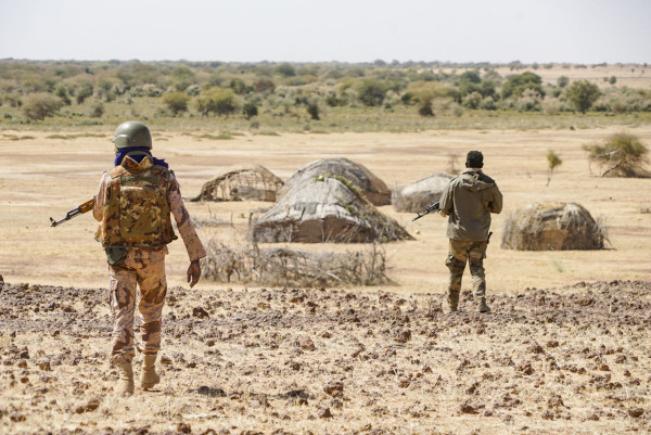 Niger : Une centaine de terroristes neutralisés près de la frontière malienne
