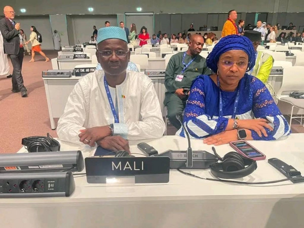 COP 28 : La délégation malienne à l'ouverture des travaux à Dubaï