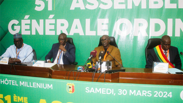 #Mali : Femafoot : Le championnat professionnel sera lancé en 2025