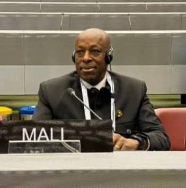 #Mali: 148è Assemblée de l’union interparlementaire : Le 6ème vice-président du CNT porte la voix du Mali