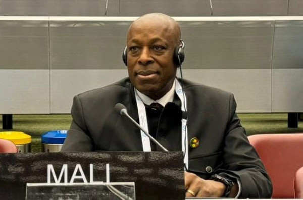 #Mali ; 148è Assemblée de l’union interparlementaire : Le 6ème vice-président du CNT porte la voix du Mali