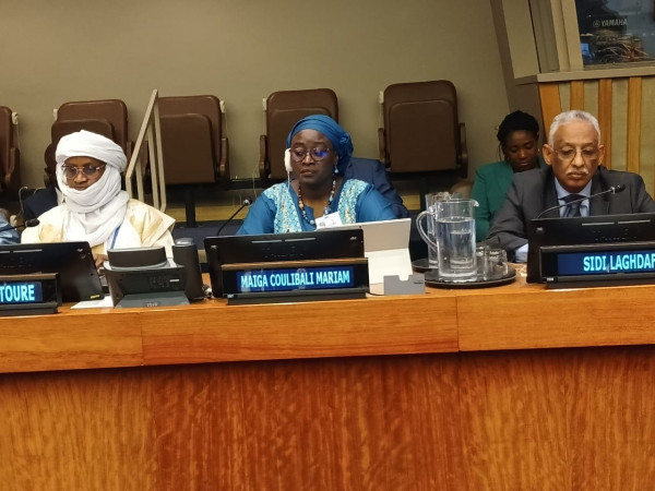 #Mali : Autonomisation des femmes et dividende démographique : La ministre Dr Coulibaly Mariam Maïga au rendez-vous de New-York