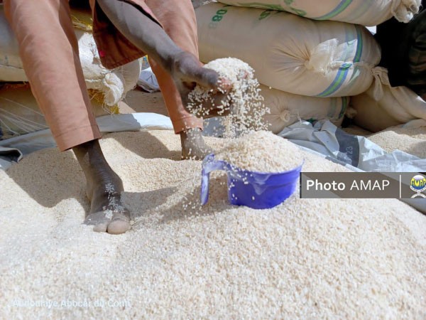 Goundam : La colère des consommateurs