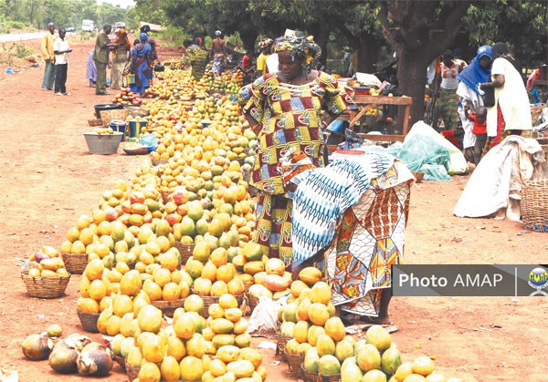 Bamako : La saison des mangues démarre