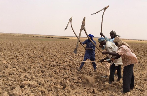 Marché du carbone : Un potentiel sous exploité au Mali
