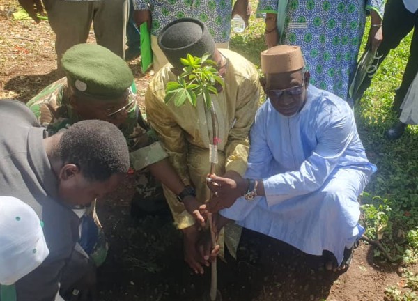 Grande Muraille verte : L’ANGMV met en lumière ses acquis et solutions pour le sahel