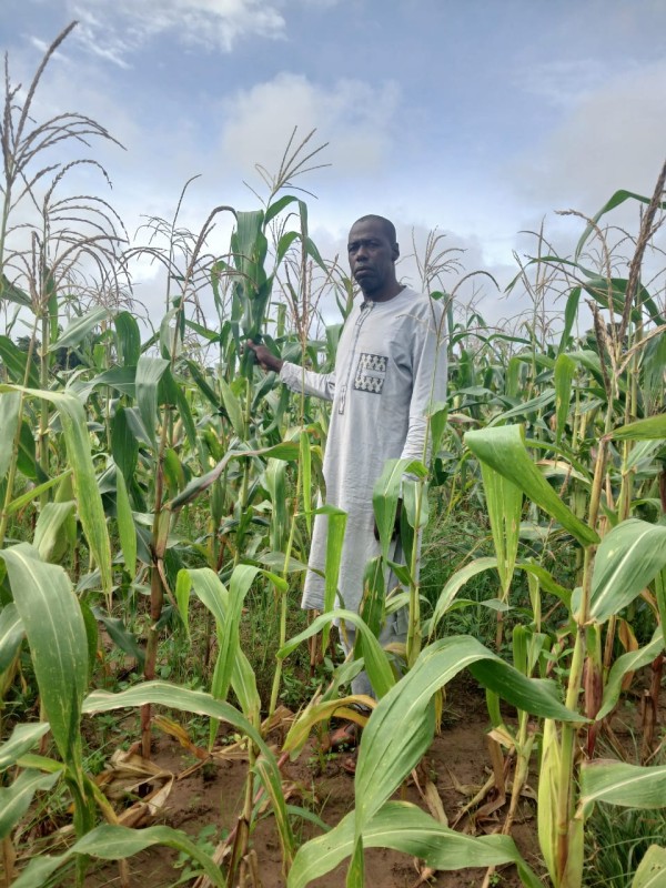 Campagne agricole : l’espoir est encore permis
