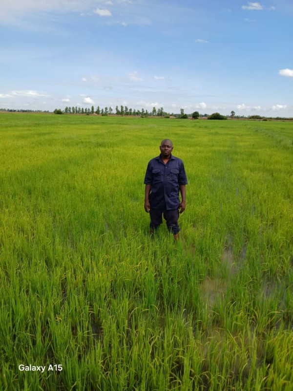 Campagne agricole dans la Région de Mopti : les multiples défis qui menacent l’atteinte des objectifs