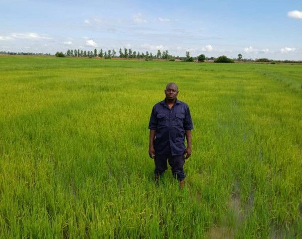 Campagne agricole dans la Région de Mopti : Les multiples défis qui menacent l’atteinte des objectifs